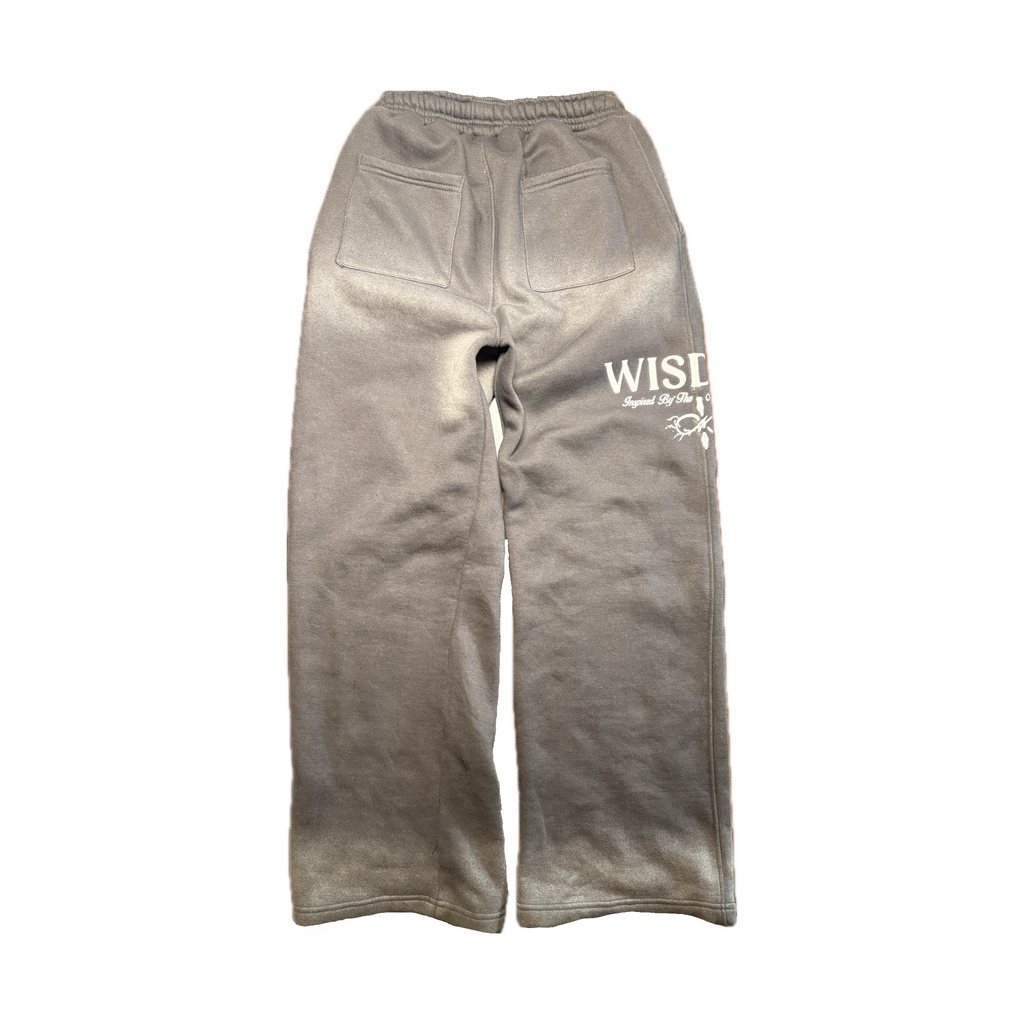 Project V4 Baggy Sweats