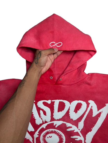 Scarlet V2 Hoodies