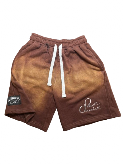 Dúlce Brown Wisdom Shorts