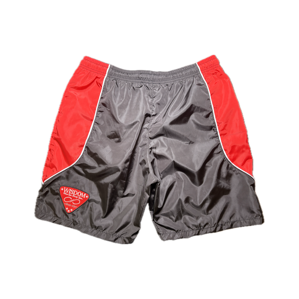 Infrared Nylon Shorts